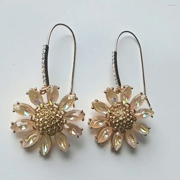 Earrings - Picture 1 of 2